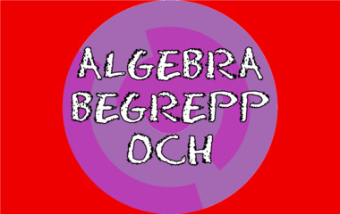 Spelet Algebra - Begrepp och metod