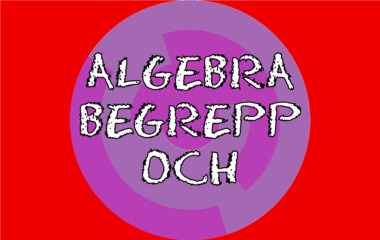 Spela Algebra - Begrepp och metod Spelet Algebra - Begrepp och metod