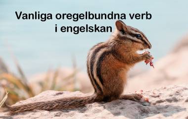 Spelet Oregelbundna verb - vanliga