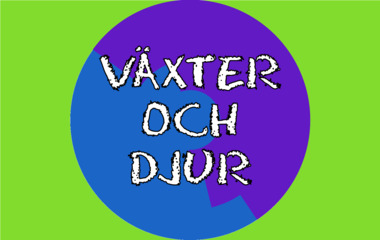 Spelet Växter och djur