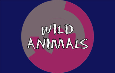 Spela Wild animals Spelet Wild animals