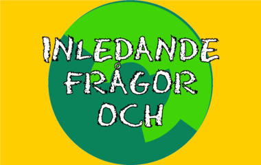 Spela Inledande frågor och svar Spelet Inledande frågor och svar