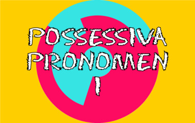 Spela Possessiva pronomen i tyska Spelet Possessiva pronomen i tyska