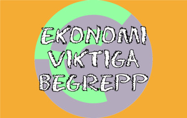 Spelet Ekonomi, viktiga begrepp