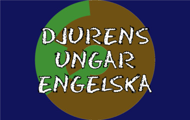 Spelet Djurens ungar - engelska