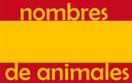 Spela Spanska djurnamn