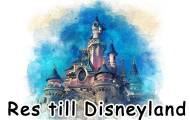 Spela Ord för resor till Disneyland