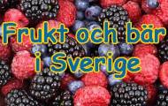 Spela Frukt och bär i Sverige
