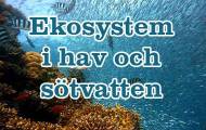 Ekosystem i hav och sötvatten