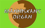 Spela Människans organ