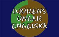Djurens ungar - engelska