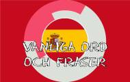 Spela Vanliga ord och fraser