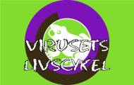 Virusets livscykel