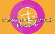 Samhällsekonomiska begrepp