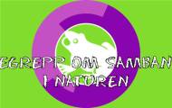Begrepp om samband i naturen