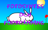Spela Fotosyntes och förbränning